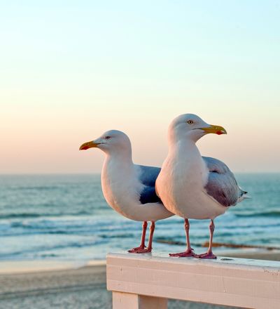 Westerland Promenade