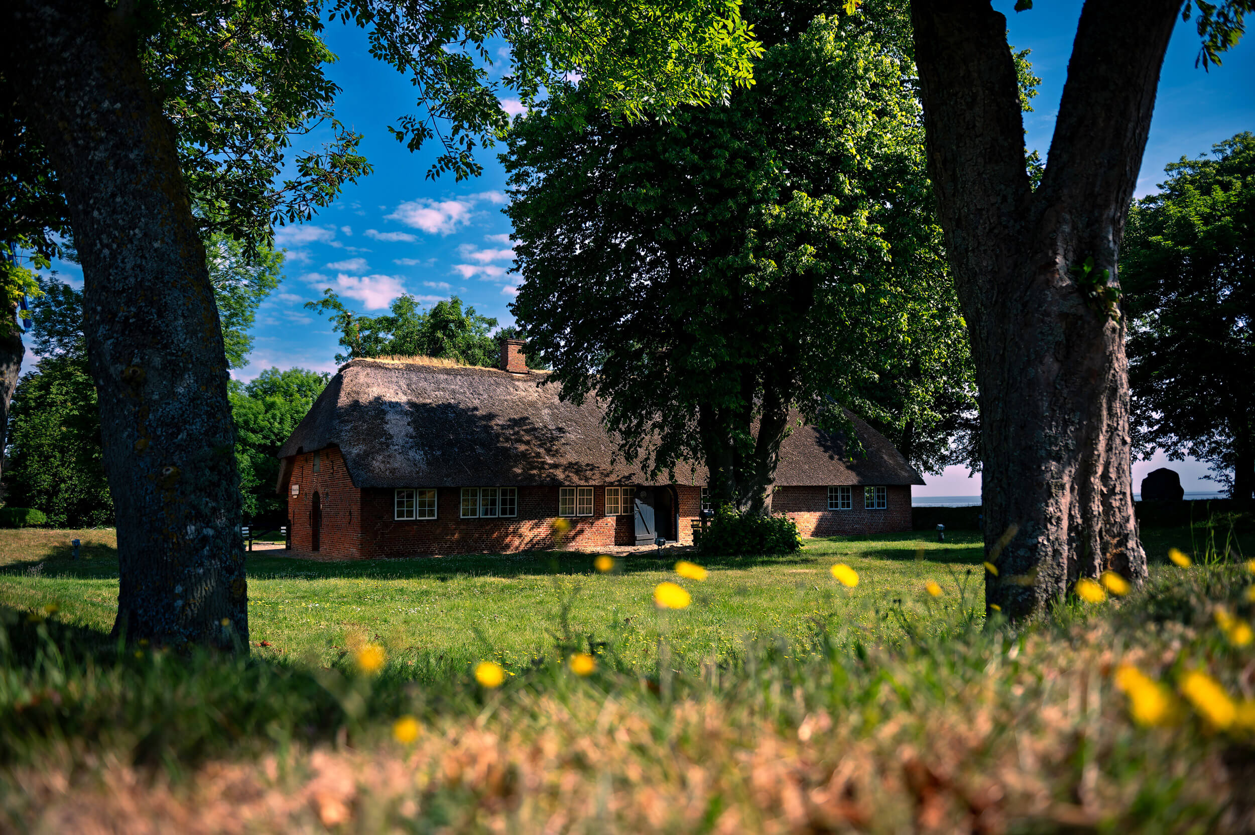 Großes Friesenhaus in natürlich grüner Landschaft