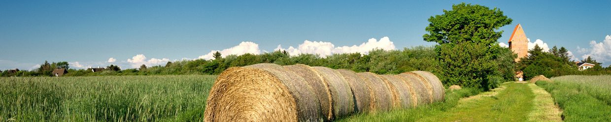 Strohballen und grüne Felder in Keitum