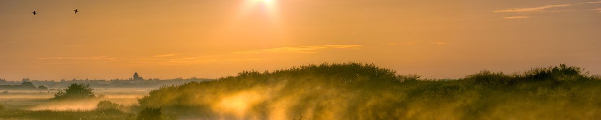 Sonnenaufgang in den Dünen