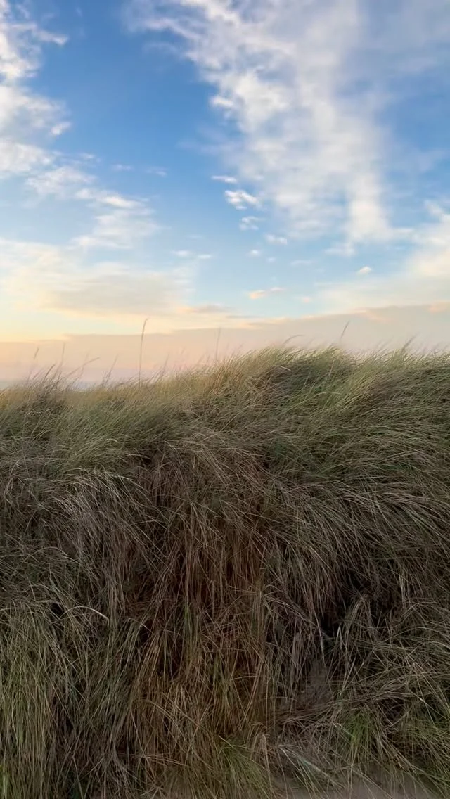 Viele Worte braucht es nicht: Ende Oktober auf Sylt - einfach wunderschön! 

Wir lieben die Insel! 🫶🏼

#Sylt #SyltLiebe #SyltUrlaub #Nordsee #Strand #Meer #Meerweh #Sonnenuntergang #Dünen