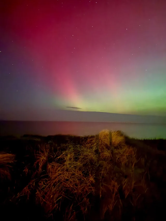 WOW! Was für ein Start ins Jahr 2026 ❤️

Die letzten zwei Abende waren einfach magisch – die Insel wurde von Polarlichtern überstrahlt ✨

Wir freuen uns riesig auf die kommenden Monate 
und all die besonderen Sylt-Momente, die wir teilen dürfen.

#sylt #polarlichter #nordlichter #auroraborealis #himmelszauber