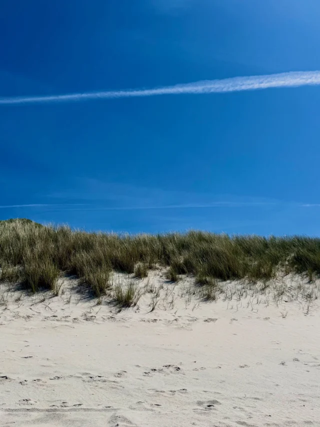 Sylt strahlt aktuell mit der Frühlingssonne um die Wette ☀️🌾

Die Dünen blühen, die Insel erwacht langsam zum Sommer und überall liegt dieses besondere Gefühl von Ruhe, Meer und frischer Nordseeluft in der Luft.

Und das Beste: Für den Sommer haben wir noch einzelne Buchungslücken verfügbar. 🌊
Jetzt die perfekte Auszeit auf Sylt sichern unter www.sas-sylt.de und www.wedell-sylt.de

Wir freuen uns auf viele schöne Urlaubsmomente mit unseren Gästen und wünschen all unseren Followern eine sonnige und entspannte Restwoche! 🤍

#Sylt #Sylturlaub #SylterAppartementService #Syltliebe #Nordsee