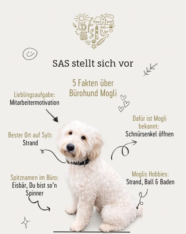 🐾 SAS stellt sich vor – unser Bürohund Mogli 🐾

Wer bei uns im Büro vorbeischaut, wird ihm vielleicht früher oder später begegnen: Mogli – flauschiger Feel-Good-Manager, Naturliebhaber und Experte im Schnürsenkel-Öffnen. 🤍

Ob zur Mitarbeitermotivation, für eine kurze Kuschelpause oder als Begrüßungskomitee – Mogli sorgt jeden Tag für gute Laune im Team. Und wenn er nicht gerade das Büro aufmischt, findet man ihn am liebsten am Strand, mit Ball in der Pfote oder auf der Suche nach dem nächsten Abenteuer auf Sylt. 🌊🐶

Habt ihr auch einen tierischen Kollegen, der euren Arbeitsalltag schöner macht? Erzählt es uns gerne in den Kommentaren. 👇

#Sylt #Bürohund #Hundeliebe #Inselleben #OfficeDog
