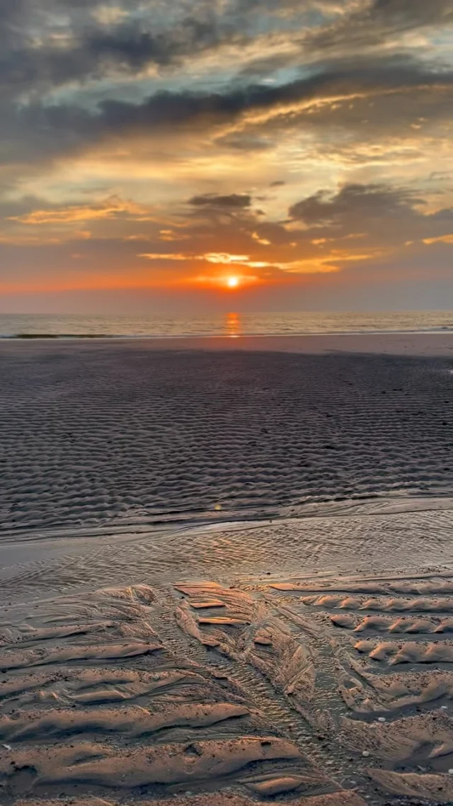 Nicht jeder Sonnenuntergang ist gleich. Auf Sylt fühlt sich jeder Abend ein bisschen wie ein Neuanfang an. 🌅

Wenn der Himmel in Gold, Orange und Rosa leuchtet, der Wind langsam ruhiger wird und die Wellen den Tag verabschieden, gibt es eigentlich nur einen Ort, an dem man jetzt sein möchte: am Strand.

Manchmal braucht es nicht mehr als Sand unter den Füßen, Meeresrauschen und diesen einen Moment, in dem die Sonne im Meer versinkt. ✨

#Sylt #Sonnenuntergang #Strandliebe #Meerliebe #SyltMomente
